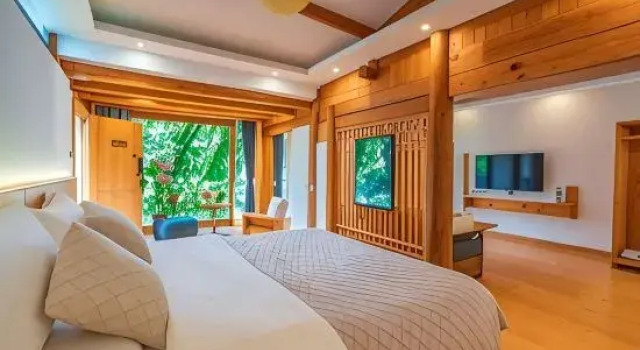 Люкс Deluxe Dream Homestay