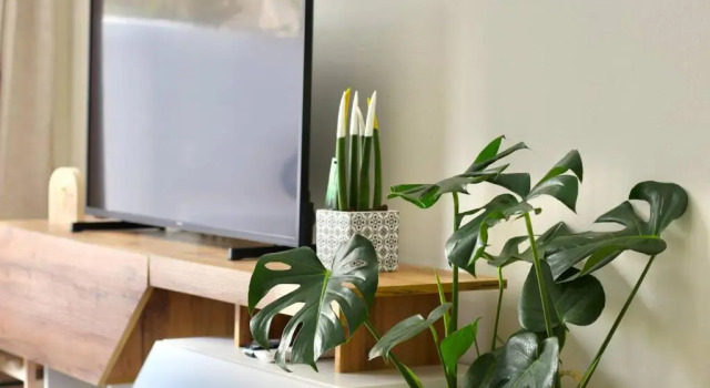 Апартаменты George's House City center cozy boho apartment