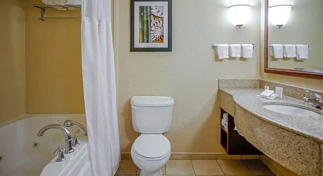 Номер Premium Wyndham Garden Kankakee