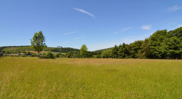 Pleasant Fermette with Outdoor Swimming Pool near Durbuy