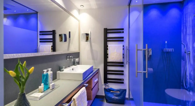 Двухместный номер Standard Parc Hotel Am See