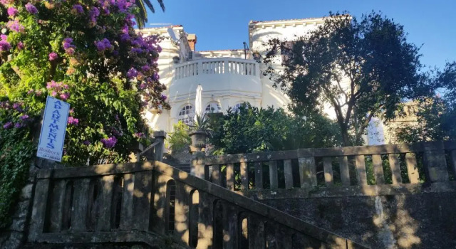 Villa Tiha, Забронировать Вилла Недорогие отели Цавтат, рядом с Пляж Тиха, недорого