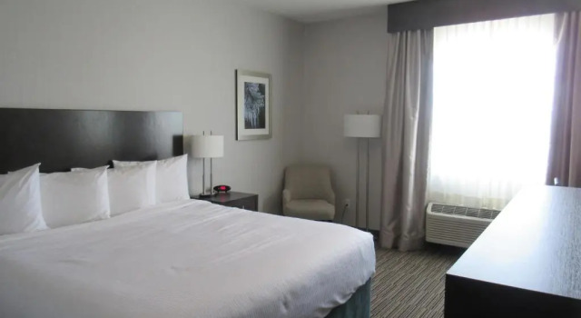 Номер Standard Best Western Plus Airdrie Gateway