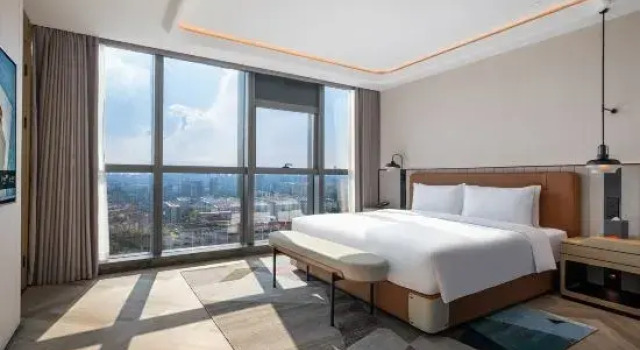 Люкс Deluxe Novotel Nanjing South Railway Station