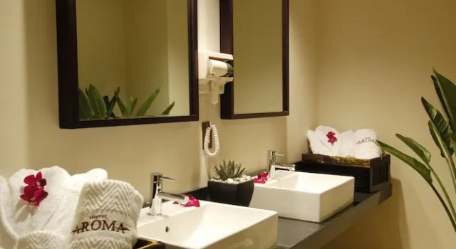 Двухместный номер Premium Hotel Aroma