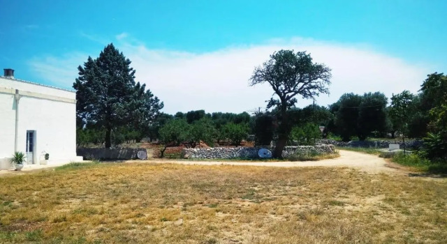 Студия Masseria Cervellera