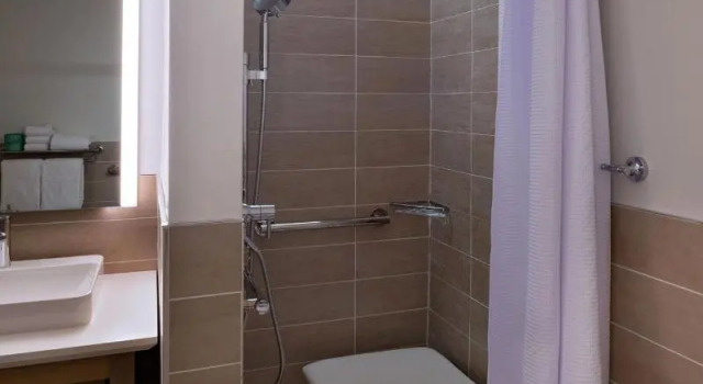 Двухместный люкс c 1 комнатой Element by Marriott Spring Valley