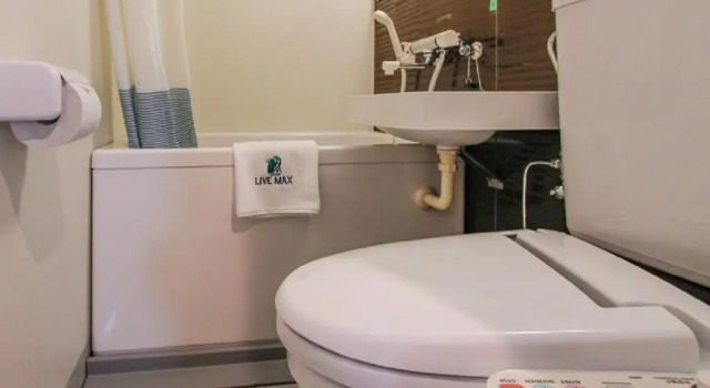 Двухместный номер Standard HOTEL LiVEMAX Umeda Doyama