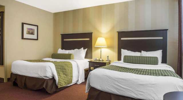 Четырёхместный номер Standard Quality Inn and Conference Centre