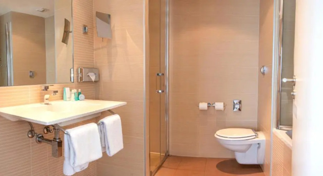 Номер Deluxe Holiday Inn Mulhouse by IHG