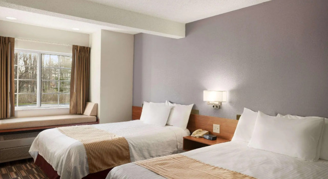 Четырёхместный номер Standard Microtel Inn by Wyndham - Albany Airport