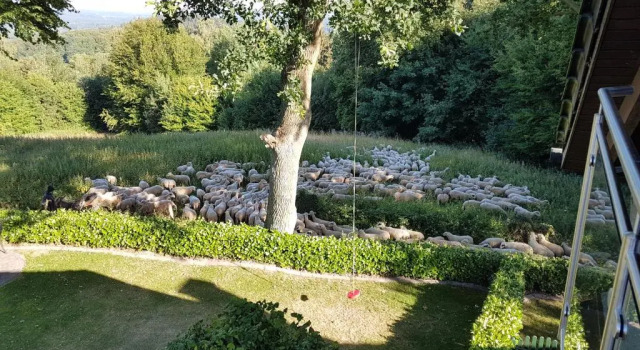 Апартаменты Ferienwohnung "Tecklenburger Augenblicke"