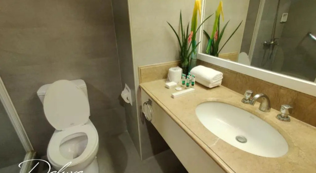 Двухместный номер Deluxe The Bellavista Hotel