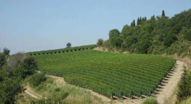 Номер Standard Agriturismo Mocine