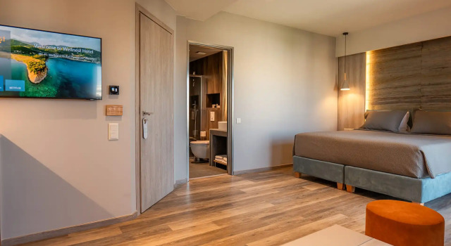 Полулюкс Wellnest Hotel