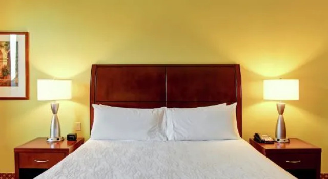 Люкс c 1 комнатой Hilton Garden Inn Ottawa Airport