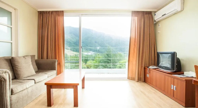 Люкс Muju Ilsung Condo