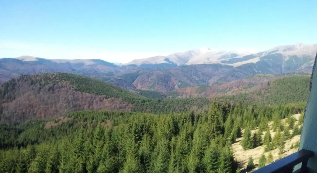 Люкс Pension Valea Mariei