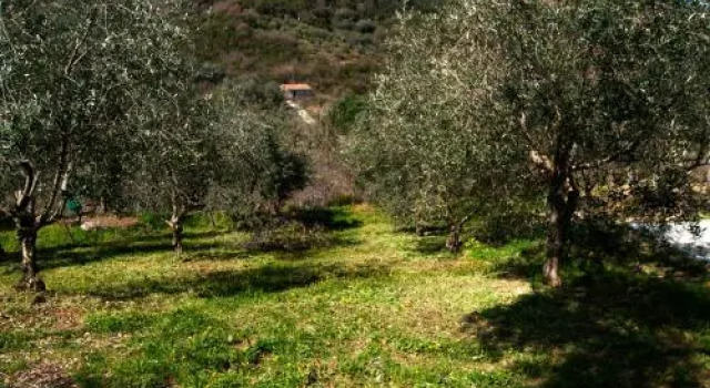Affittacamere Aria, Buchen Sie Hotel Sessa Cilento Cilento