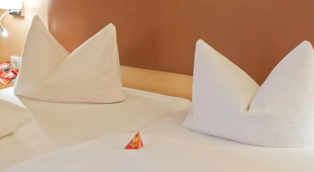 Двухместный номер Standard Hotel Grüner Baum