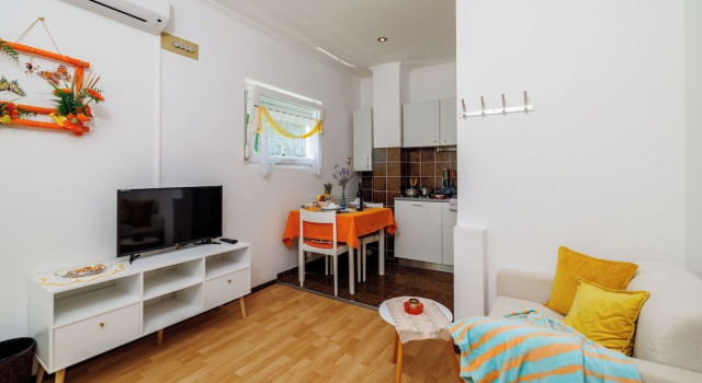 Студия Apartments Mirjana T