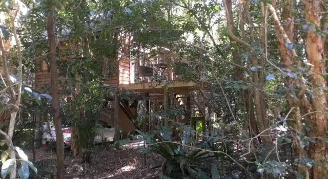Студия Wanderers Retreat