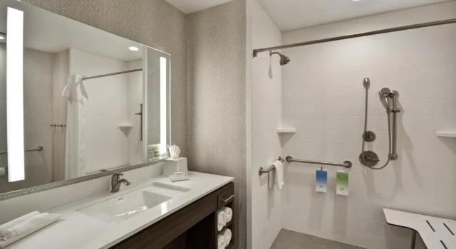 Двухместный люкс Accessible Home2 Suites by Hilton Houston Medical Center, TX