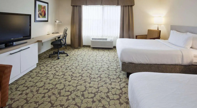 Номер Standard Hilton Garden Inn Minneapolis Eagan