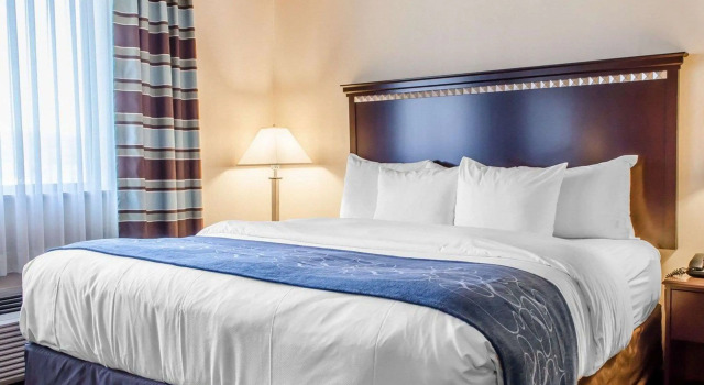 Comfort Suites Bloomsburg, Buchen Sie Hotel Bloomsburg Pennsylvania