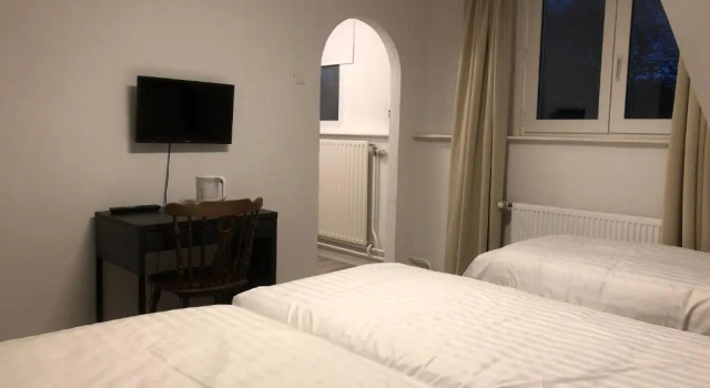 Номер Comfort Mimosa Hotel