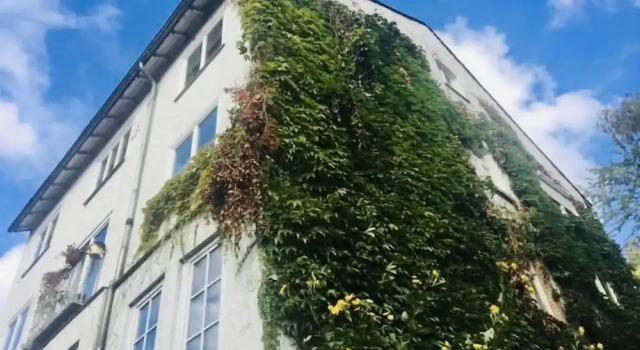 Gästezimmer am Weinberg Kassel