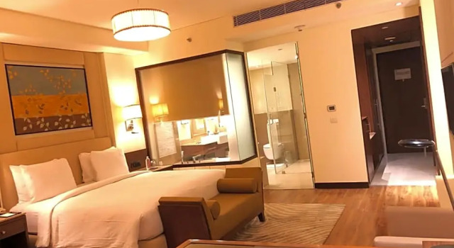 Двухместный номер Deluxe DoubleTree by Hilton Agra