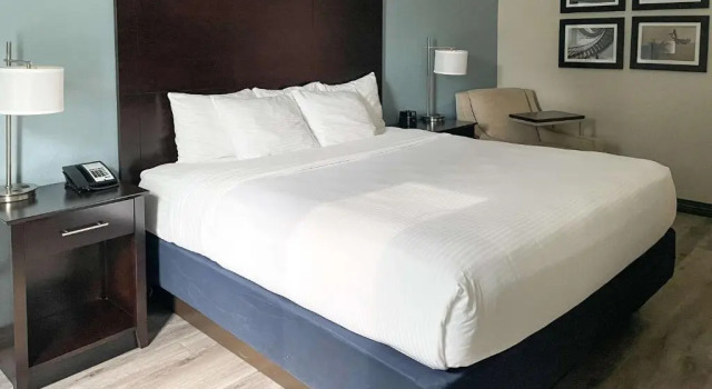 Номер Standard Comfort Inn & Suites Melbourne-Viera