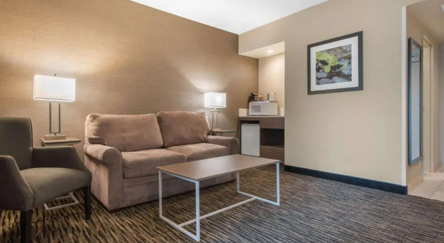 Люкс Clarion Hotel & Suites