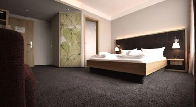 Двухместный номер Standard Hotel Linde