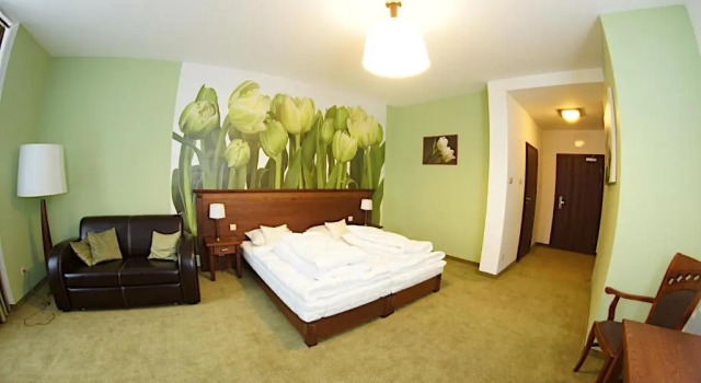 Двухместный номер Standard Hotel Neo Międzyrzecz