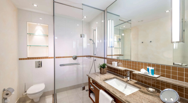 Двухместный номер Standard Dorint Resort & Spa Bad Brückenau