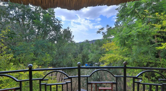 Tukul Village Hotel, Book Hotel North Wollo Klippekirkerne i Lalibela