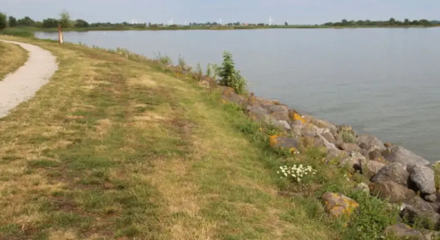 Апартаменты Dijkvilla on the Ijsselmeer