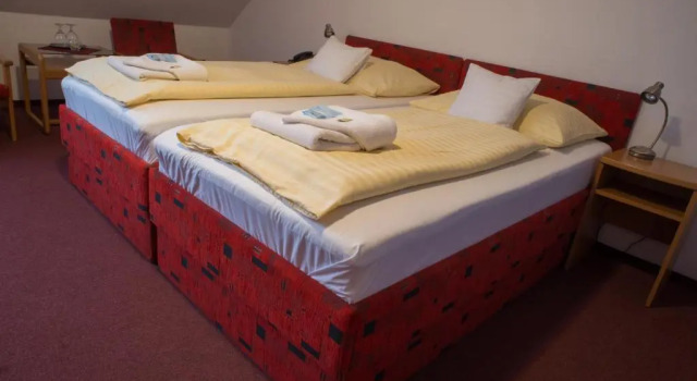 Двухместный номер Standard Hotel u Crlíků