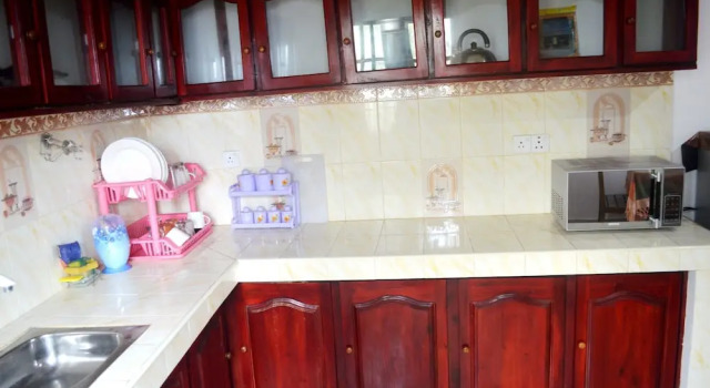 Апартаменты Deluxe Shyni Tourist Guesthouse