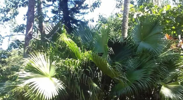 Yaguarete Lodge, Забронировать Отель Отели Пуэрто-Игуасу 3 звезды, рядом с Guira Oga Zoo, 3*
