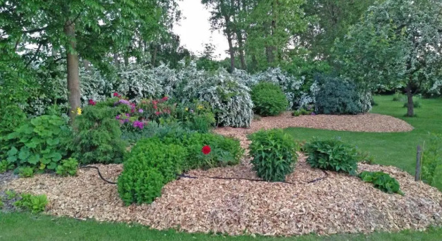 Коттедж с 3 комнатами Ferienhaus Karlshagen USE 1011