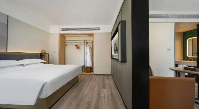 Люкс Business Nanchang Honggutan Provincial Museum Madison Hotel