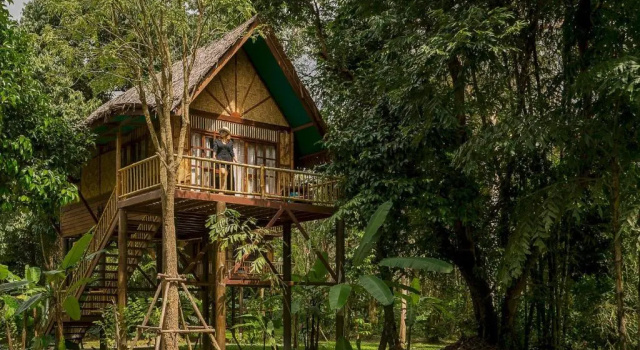 Трёхместный коттедж Our Jungle Camp