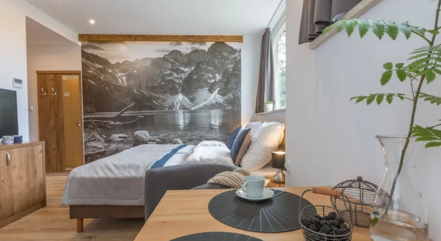 Номер Comfort Stacja Zakopane - Apartamenty w centrum