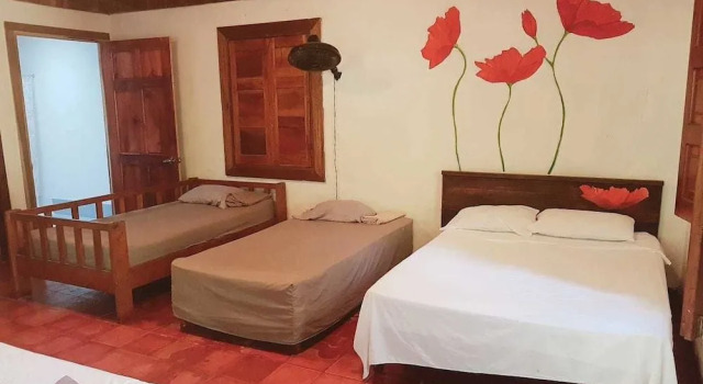 MI Casa Hostel & Hotel El Tesoro, Varaa Hostelli Cocles Limon
