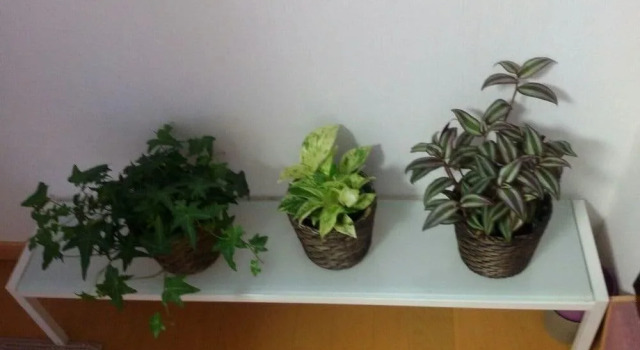 Yoko's House – Hostel, Забронировать Хостел Хостелы префектуры Осаки, Хостел