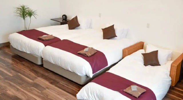 Номер Standard с видом на океан LiVEMAX RESORT Jogasaki Kaigan