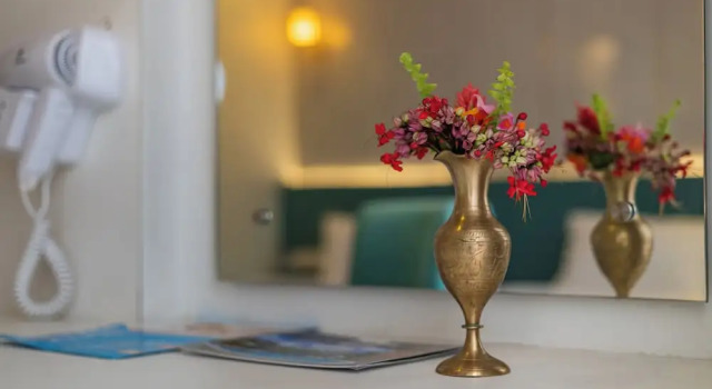 Номер Premium Mount Kailash Resort